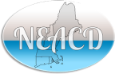New England Academy of Cosmetic Dentistry logo
